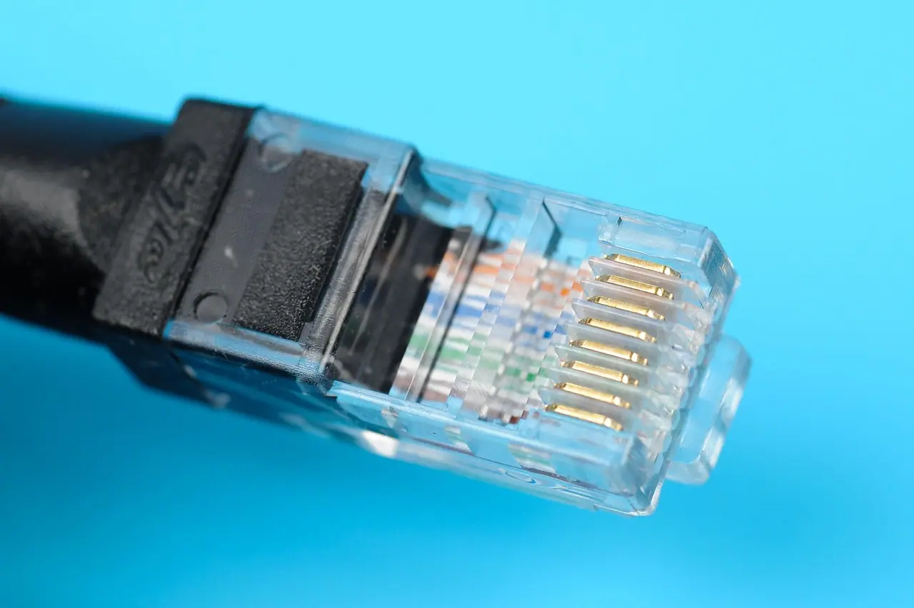 Photograph: cable, internet, ethernet