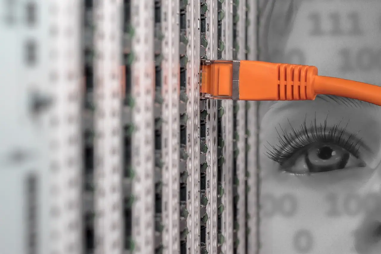Photograph: it, server, server cabinet
