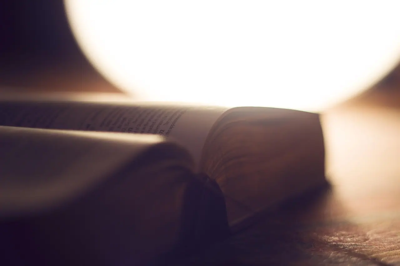 Photograph: bible, blur, book