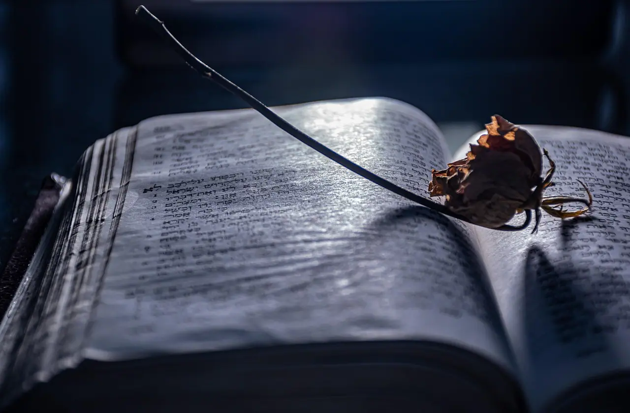Photograph: open book, nostalgia, mood
