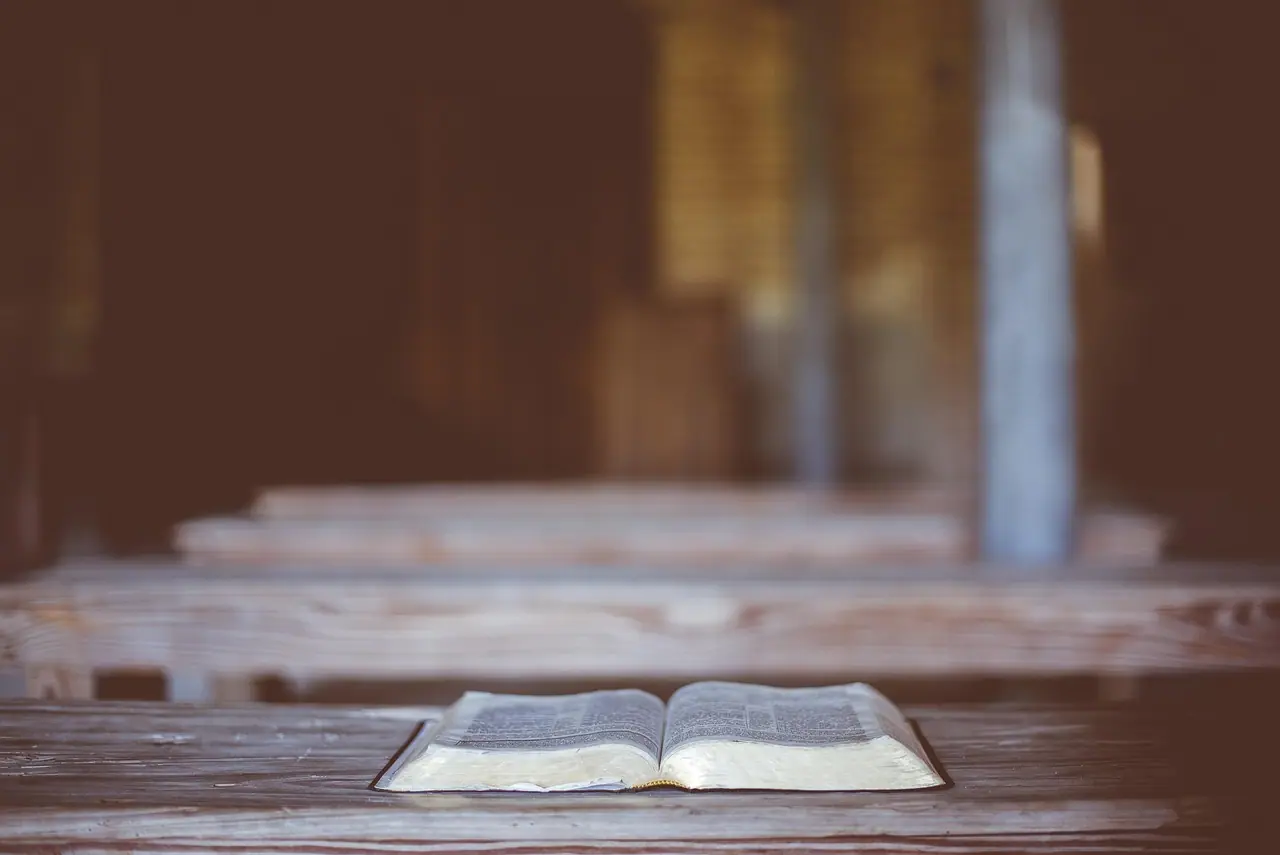 Photograph: book, read, bible