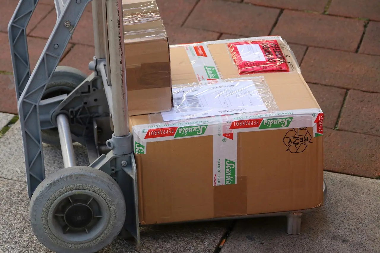 Photograph: packet, delivery, post