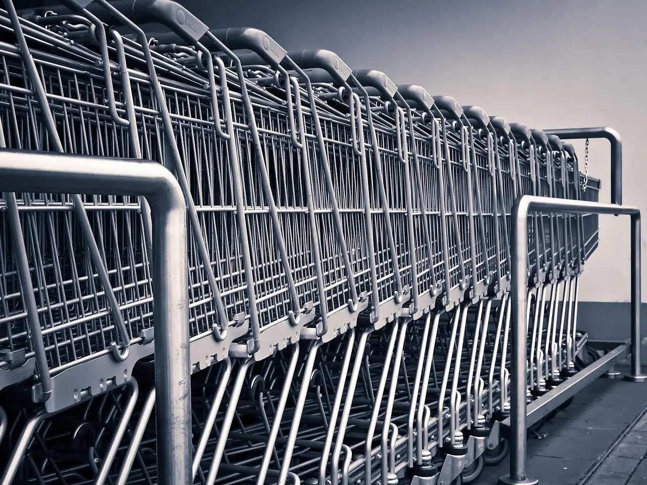 Photograph: shopping carts, grocery, shopping