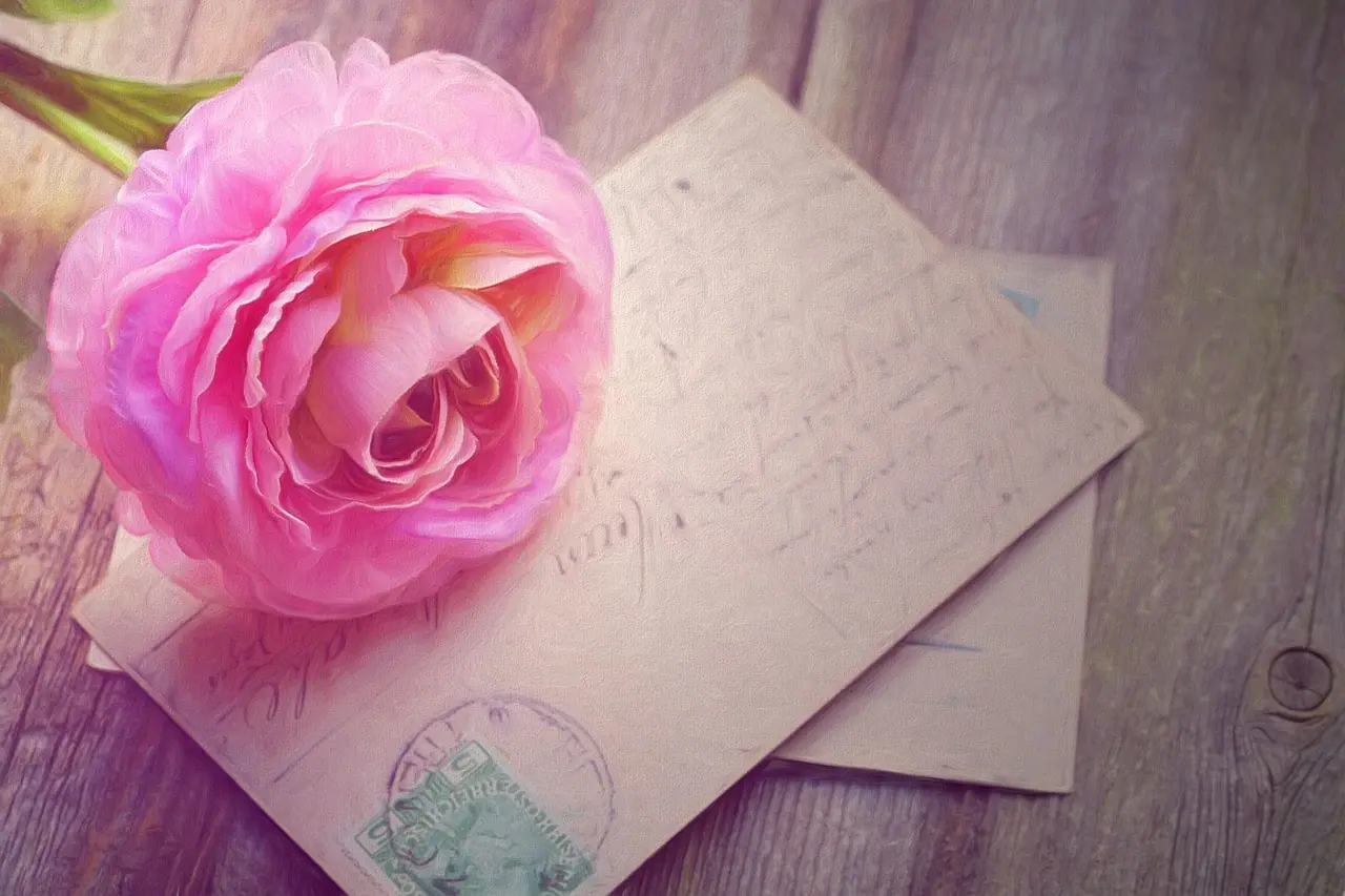 Photograph: painting, rose, cards