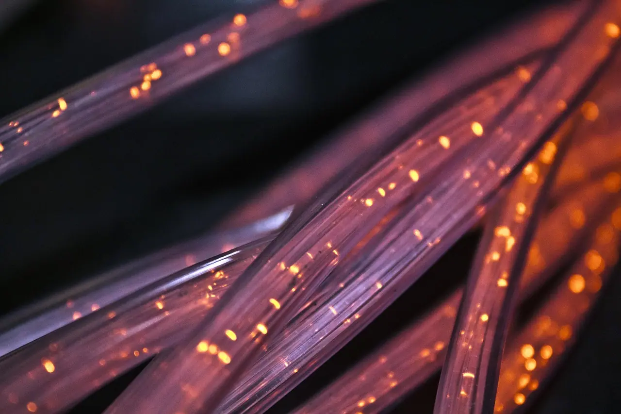 Photograph: fiber, cable, wire