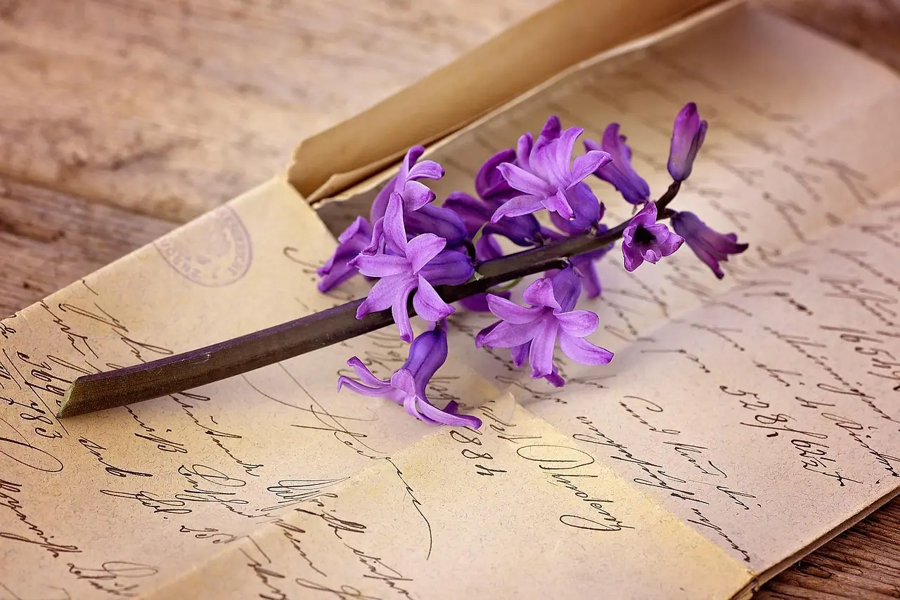 Photograph: letter, flower background, nature