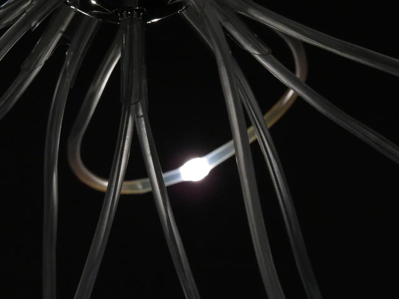 Photograph: led tube, hose, rope