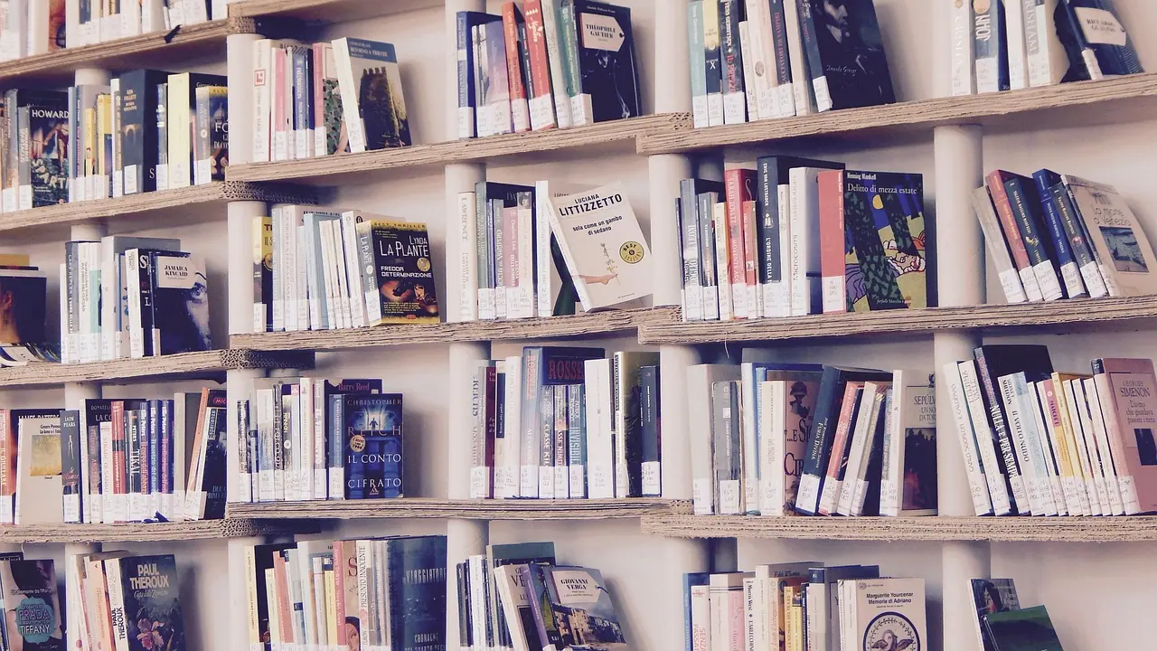 Photograph: books, library, read