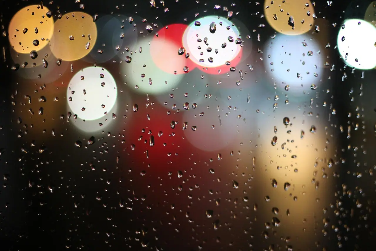 Photograph: window, glass, nature