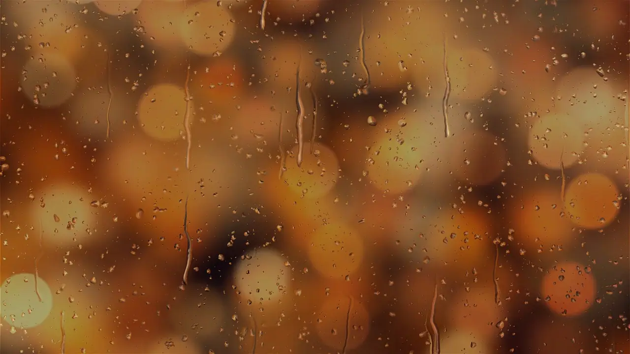 Photograph: background, bokeh, nature wallpaper