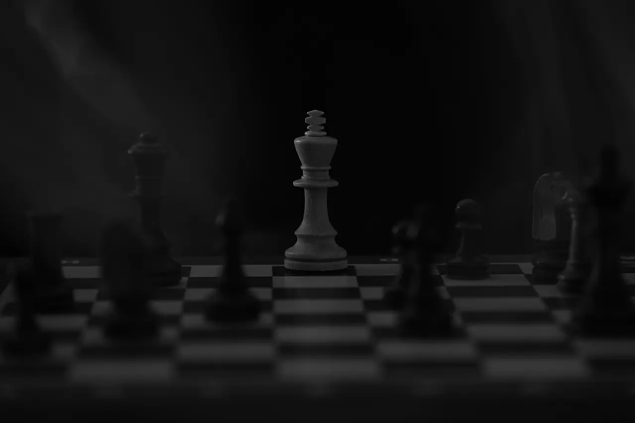 Photograph: chess, chess king, dark
