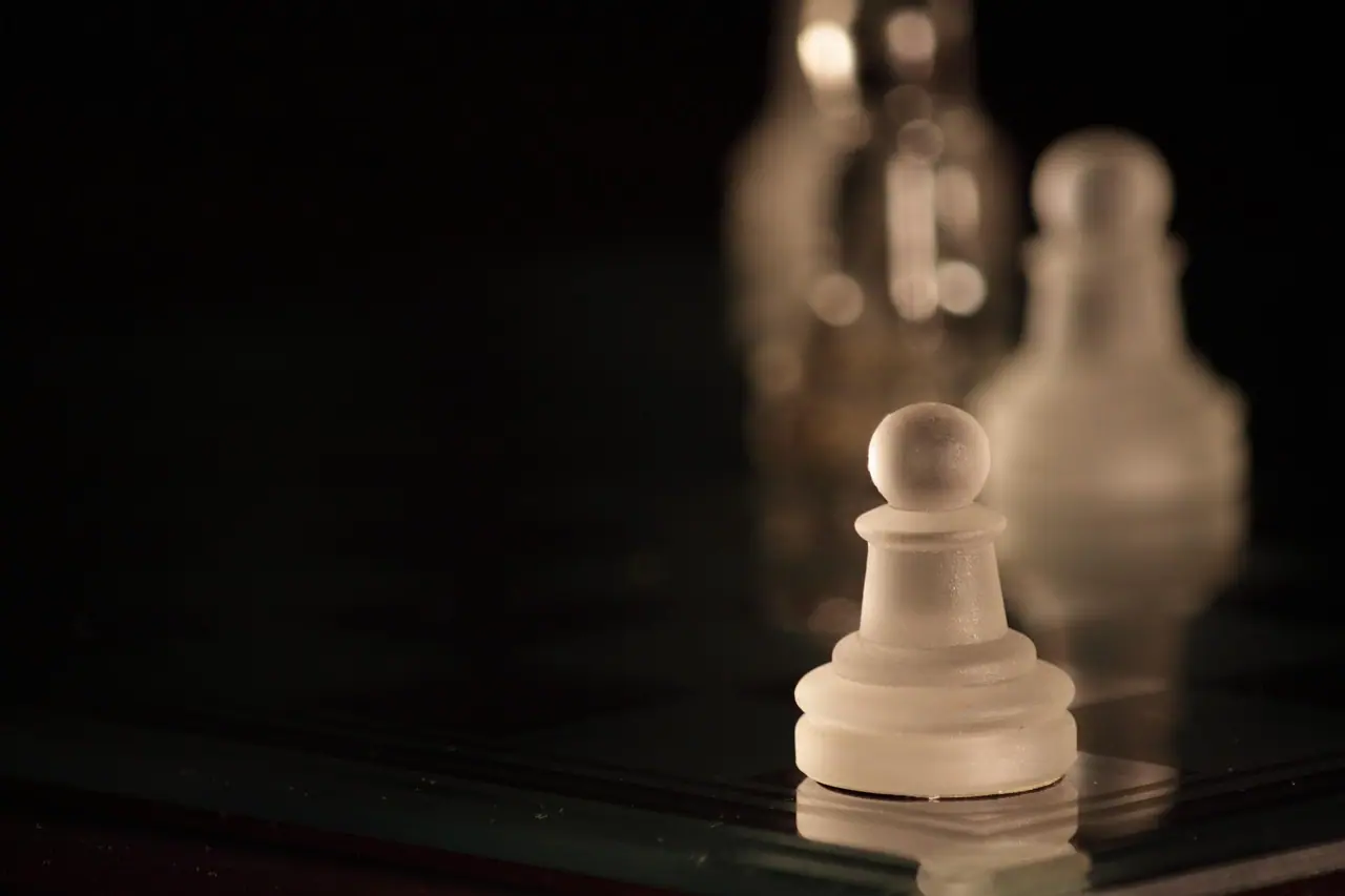 Photograph: chess, pawn, white